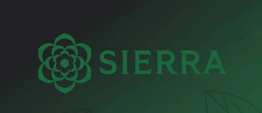 AI Startup Sierra Surges to $100M ARR in Under Two Years